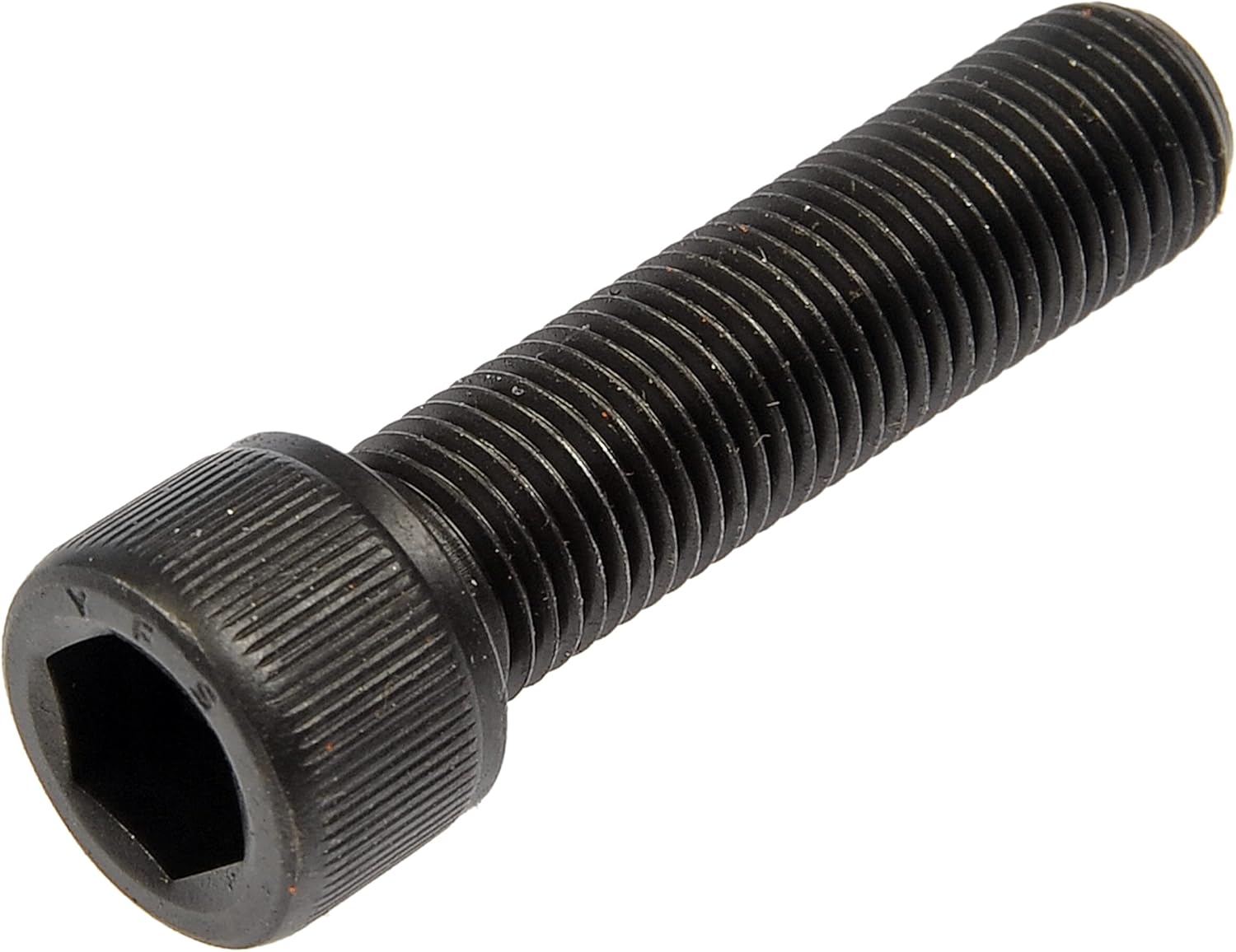 ミュージカルテニスの王子様【柳下大】海堂薫☆購入特典☆メモ帳②